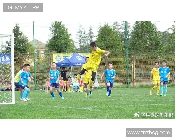 芦鹏足球：激情与梦想交织的绿茵场上追逐荣耀的青春故事