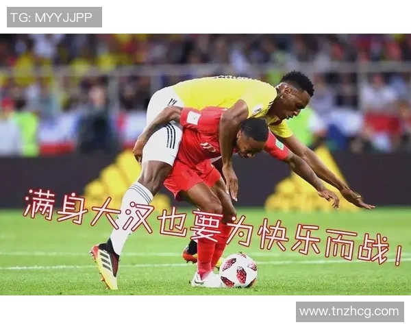 足球80元的魅力探秘与球迷热情的完美结合